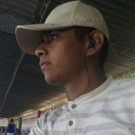 Ariez