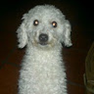 Mirta