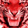 RedTiger